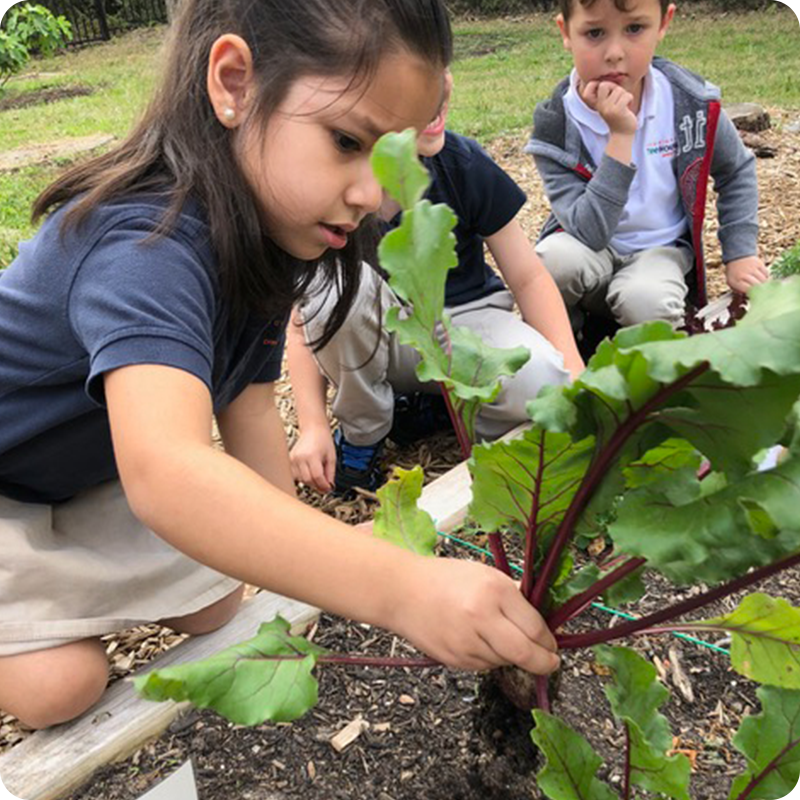 Enrichment-Activities_Gardening_5