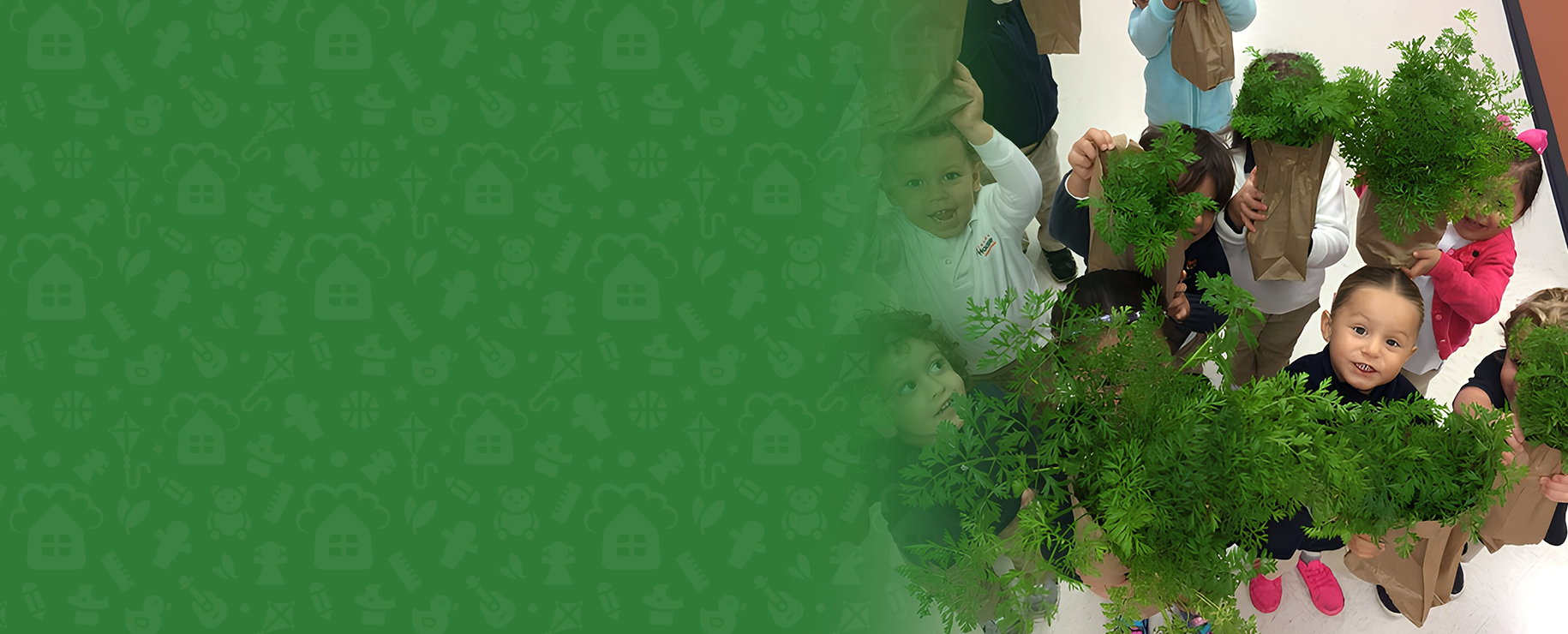 Home_Principal-Banners_Woodlands-Tree-House_4